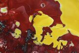 Freestanding Brilliant, Red/Yellow, Polished Mookaite Jasper #74086-2
